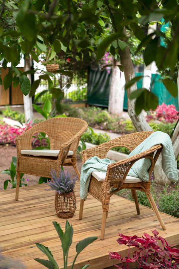 Gayb-I Bungalows By Naturelife - Free Access To Beach Çıralı Ngoại thất bức ảnh